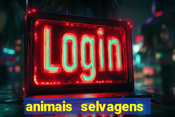 animais selvagens fotos e nomes